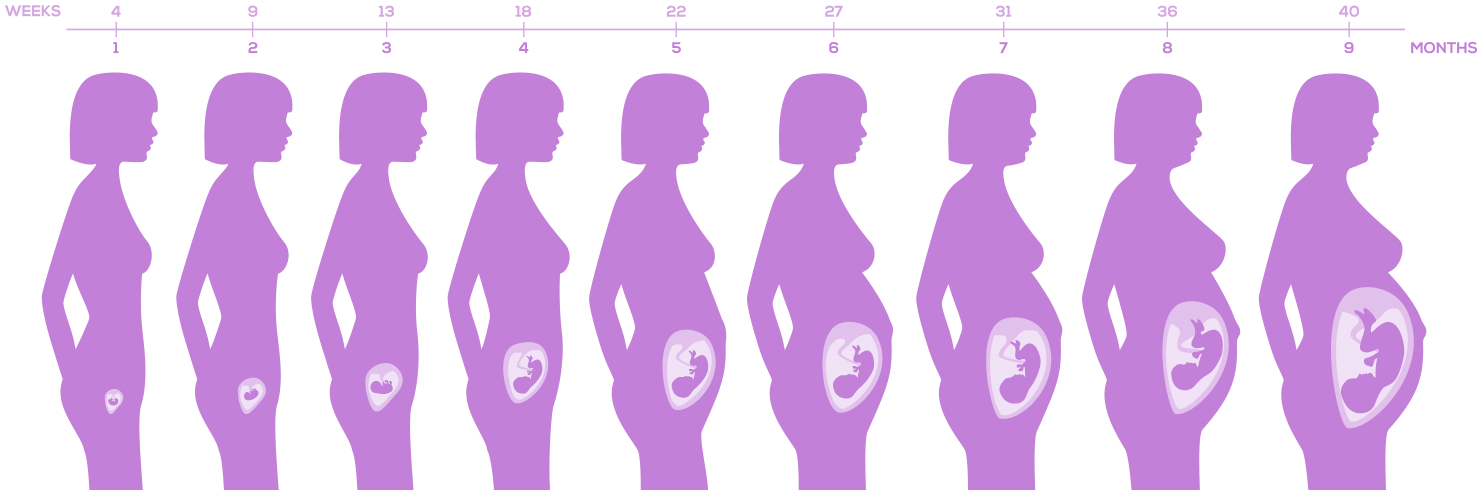 control-prenatal